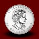 31,15 g, Platinasti Kanadski javorjev list / Canadian Maple Leaf Platinum Coin