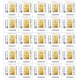10 x 1 g, Zlatna poluga Fortuna - Multicard