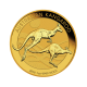 31,162 g, Australian Kangaroo Gold Coin 1989 - 2018