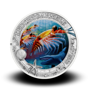 16 g Morska mačka - 3 € zbirateljski kovanec (2023), serija Čarobni podvodni svet