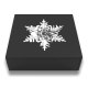 32,41 g, Fine Silver Coin – Snowflake 2023