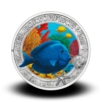 16 g Doctor Fish - 3 € zbirateljski kovanec (2024), serija Čarobni podvodni svet